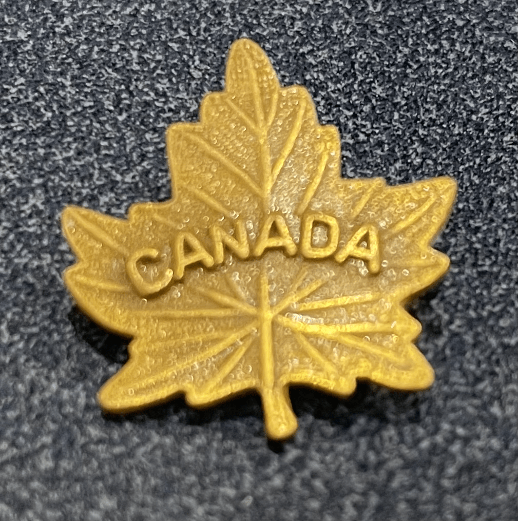 Canada souvenir pin